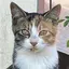 湧幸のプロフィール画像