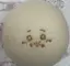 まいさんのプロフィール画像