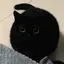 .のプロフィール画像
