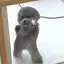 aikaのプロフィール画像