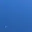 JUUUNのプロフィール画像