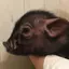 あやのプロフィール画像
