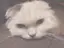 れおなのプロフィール画像