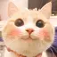 LI LIのプロフィール画像