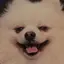 (*´-`)のプロフィール画像