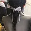 あゆかのプロフィール画像