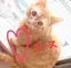 mio♩¨̮のプロフィール画像