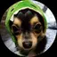 コロコロのプロフィール画像