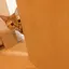 ぴぃのプロフィール画像