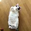 はるみんのプロフィール画像