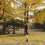 里依のプロフィール画像