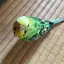 なかじーのプロフィール画像