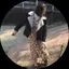 あんなのプロフィール画像