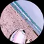なかままのプロフィール画像