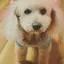 さくらこのプロフィール画像