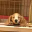 きよのプロフィール画像
