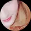 くーやんのプロフィール画像