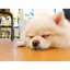 erichiのプロフィール画像