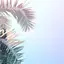 やんすのプロフィール画像