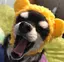 るぅちゃろのプロフィール画像