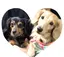 うるるのプロフィール画像