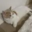 ほのかのプロフィール画像