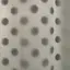 (◜ᴗ◝ )のプロフィール画像