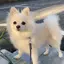 nanoのプロフィール画像