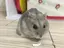 tomomiiiii0928のプロフィール画像