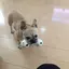 ふくこのプロフィール画像