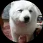みたのプロフィール画像
