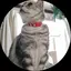 Yu.のプロフィール画像