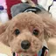 ゆりなのプロフィール画像