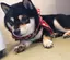 サヤカのプロフィール画像