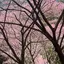 KYOのプロフィール画像