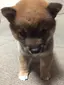 ノリちゃんのプロフィール画像