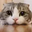 ななみのプロフィール画像