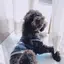 yuuuuのプロフィール画像