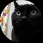 梨花のプロフィール画像