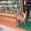 あきのプロフィール画像