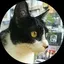 Kのプロフィール画像