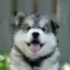 かなうのプロフィール画像