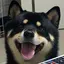 maariiiのプロフィール画像