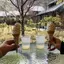 あやのプロフィール画像