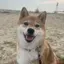 ののプロフィール画像