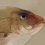 山のプロフィール画像