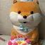 こーのプロフィール画像