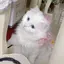 mのプロフィール画像