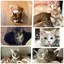 凪紗のプロフィール画像