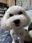 もかぴょんのプロフィール画像